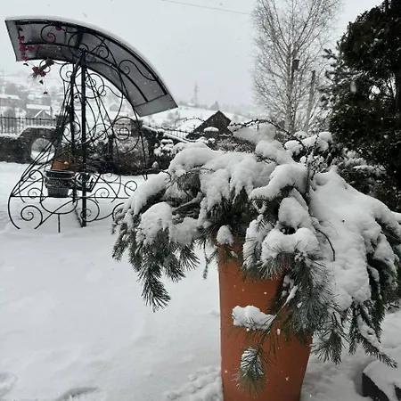 Koteg Lemberg Guest house 3*